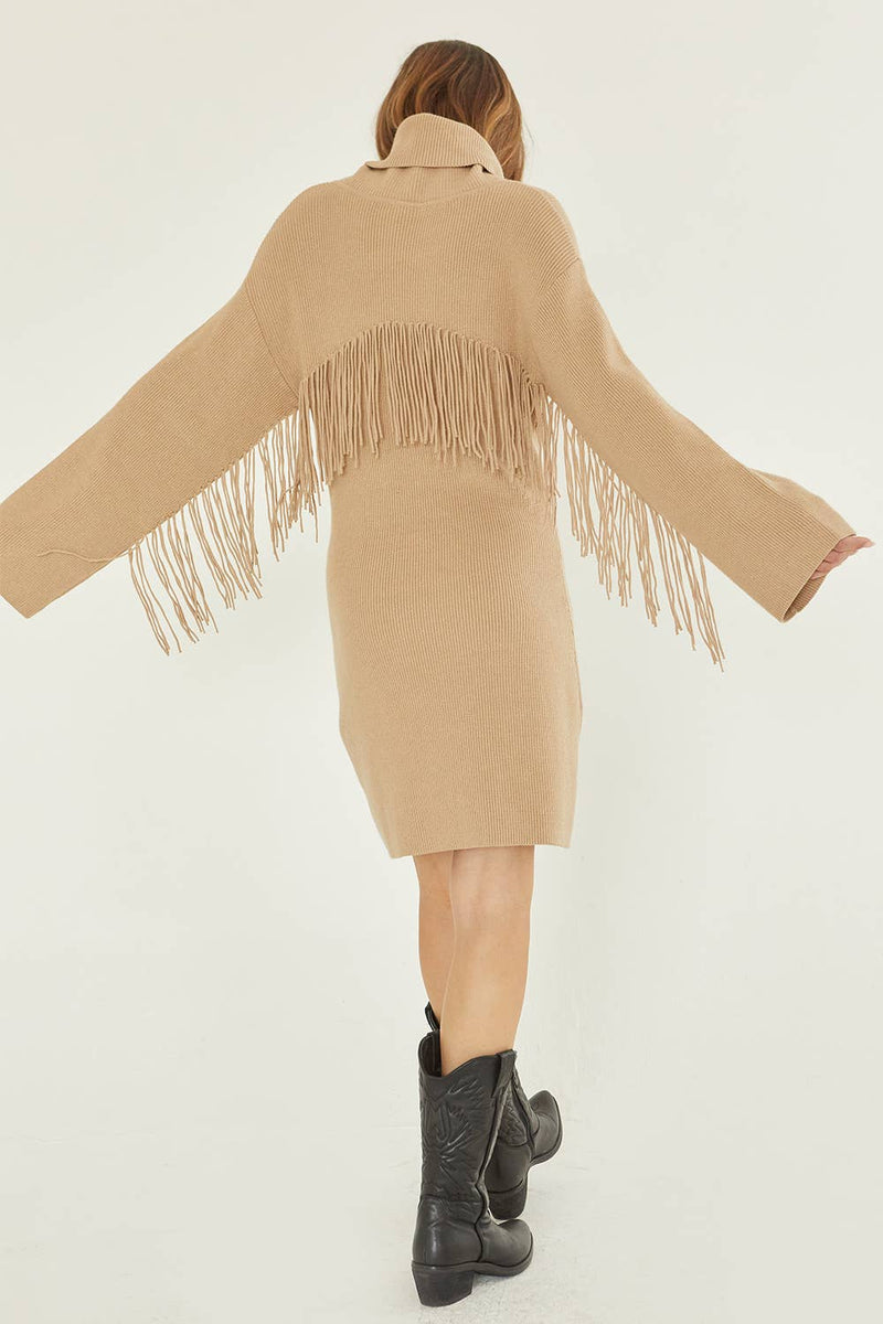 Joelle Turtleneck Sweater Fringe Dress