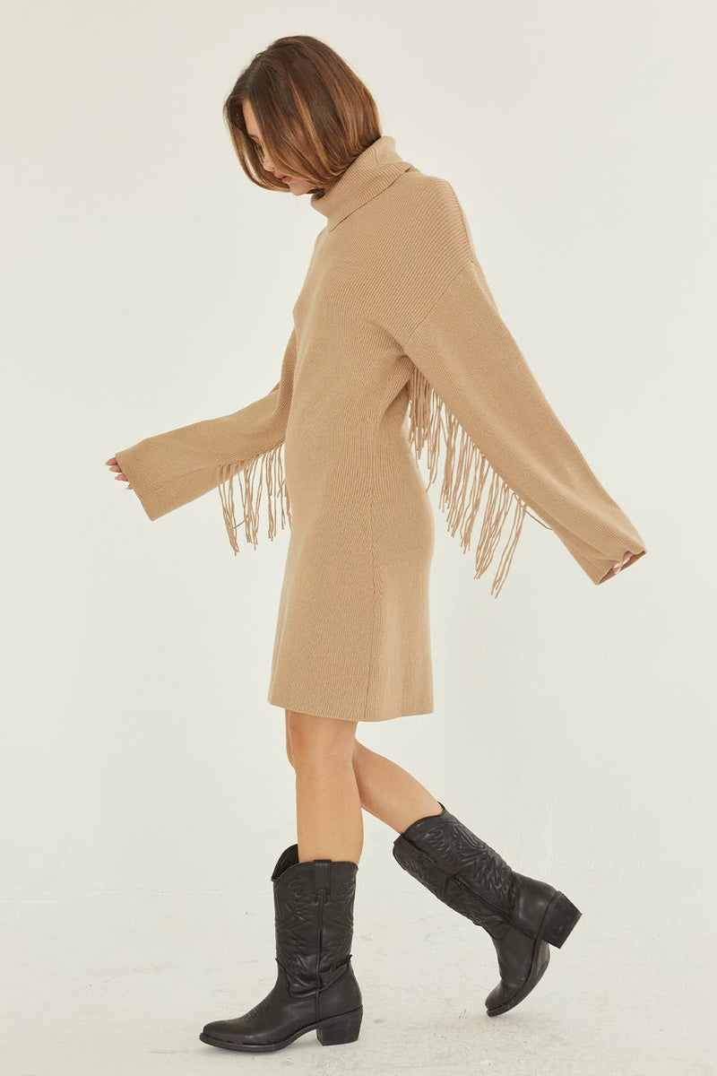 Joelle Turtleneck Sweater Fringe Dress