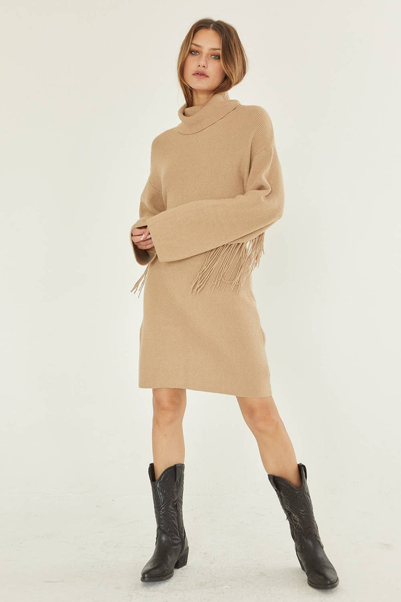 Joelle Turtleneck Sweater Fringe Dress